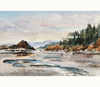 Julie Creighton watercolor